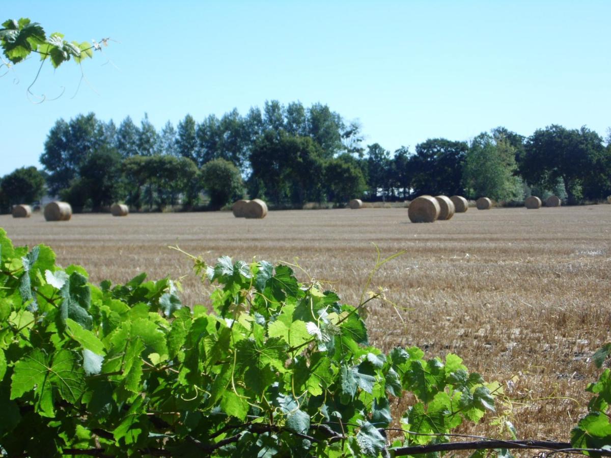 A La Ferme En Nature Pleine-Fougeres